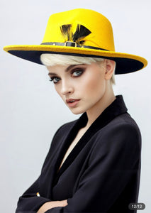 Fedora hats ( with feather 🪶)